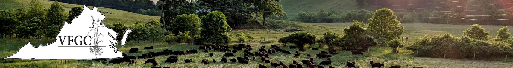 Virginia Forage and Grassland Council